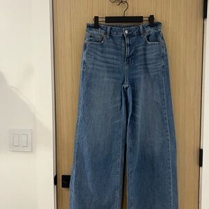 American Eagle Outfitters Classic Denim Wide-Leg Jeans